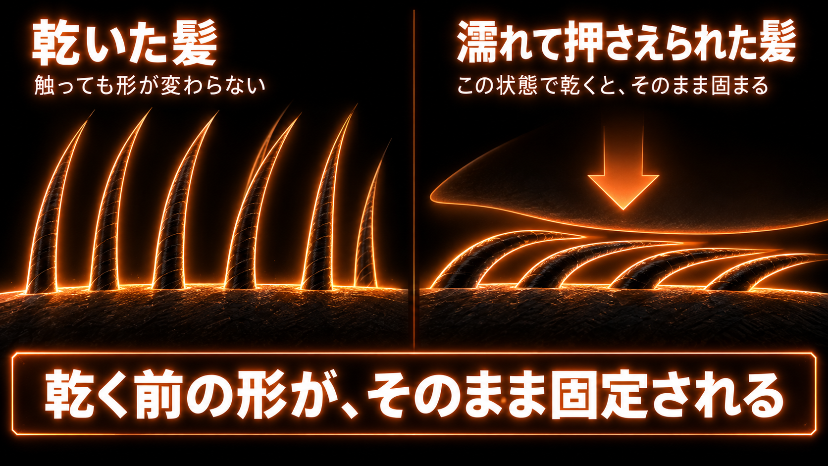 乾いた髪は触っても形が変わらないが、濡れて押さえられた髪はその形のまま乾いて固定されることを、髪の毛の断面図で左右比較したイラスト