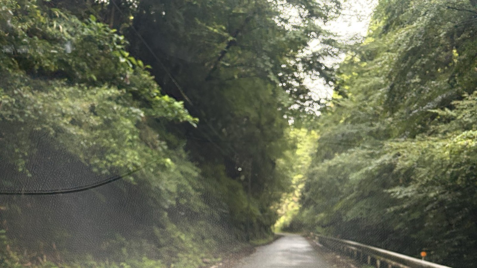 フロントガラスの曇り。ガラス上部だけが白くぼやけている